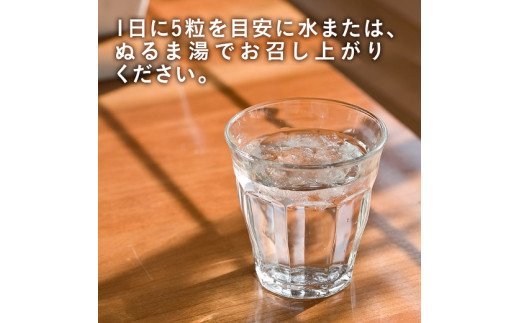 Ｇ-70　[ファイン]酵母×酵素２１９×コーヒークロロゲン酸 ３個セット